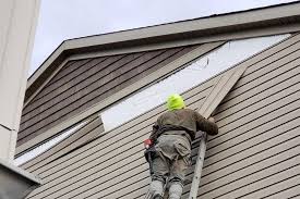 Best Steel Siding Installation  in Manitou Beach Devils Lake, MI